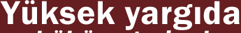Y&uuml;ksek yargýda h&uuml;k&uuml;met ajanlarý